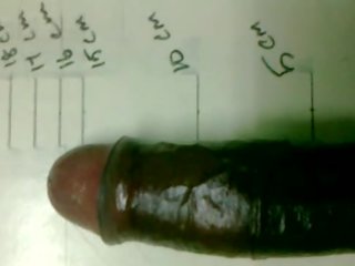 South indisk penis